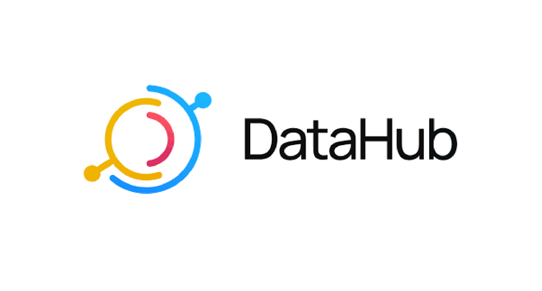 DataHub logo